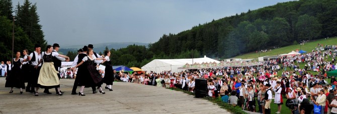 _DSC5542