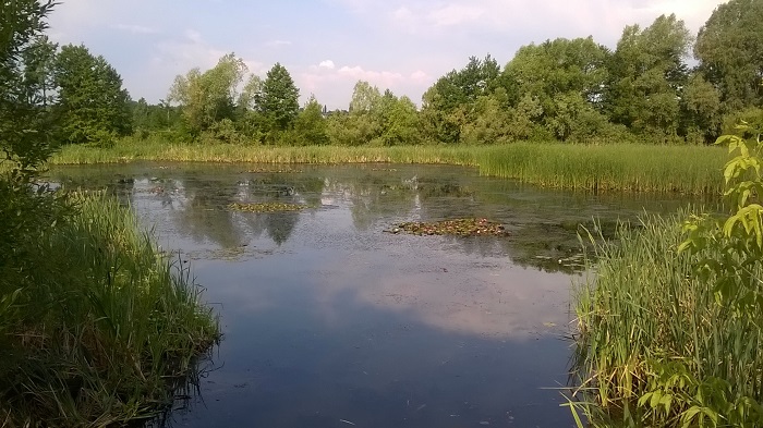 Víztározó