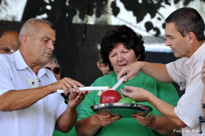 Száműzni a közömbösséget Száműzni a közömbösséget