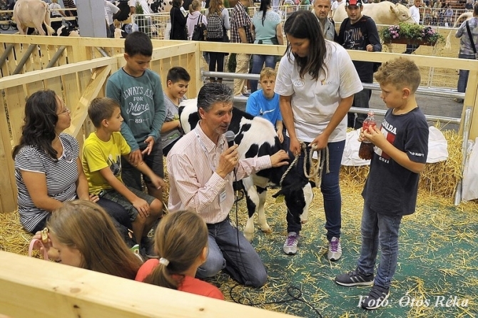 Tolna megye az OMÉK-on Tolna megye az OMÉK-on